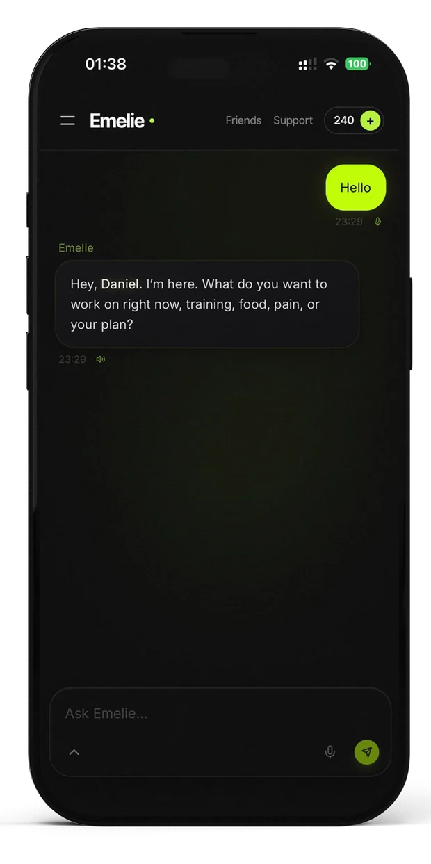 A conversation with Emelie inside HAVYT, with voice input available